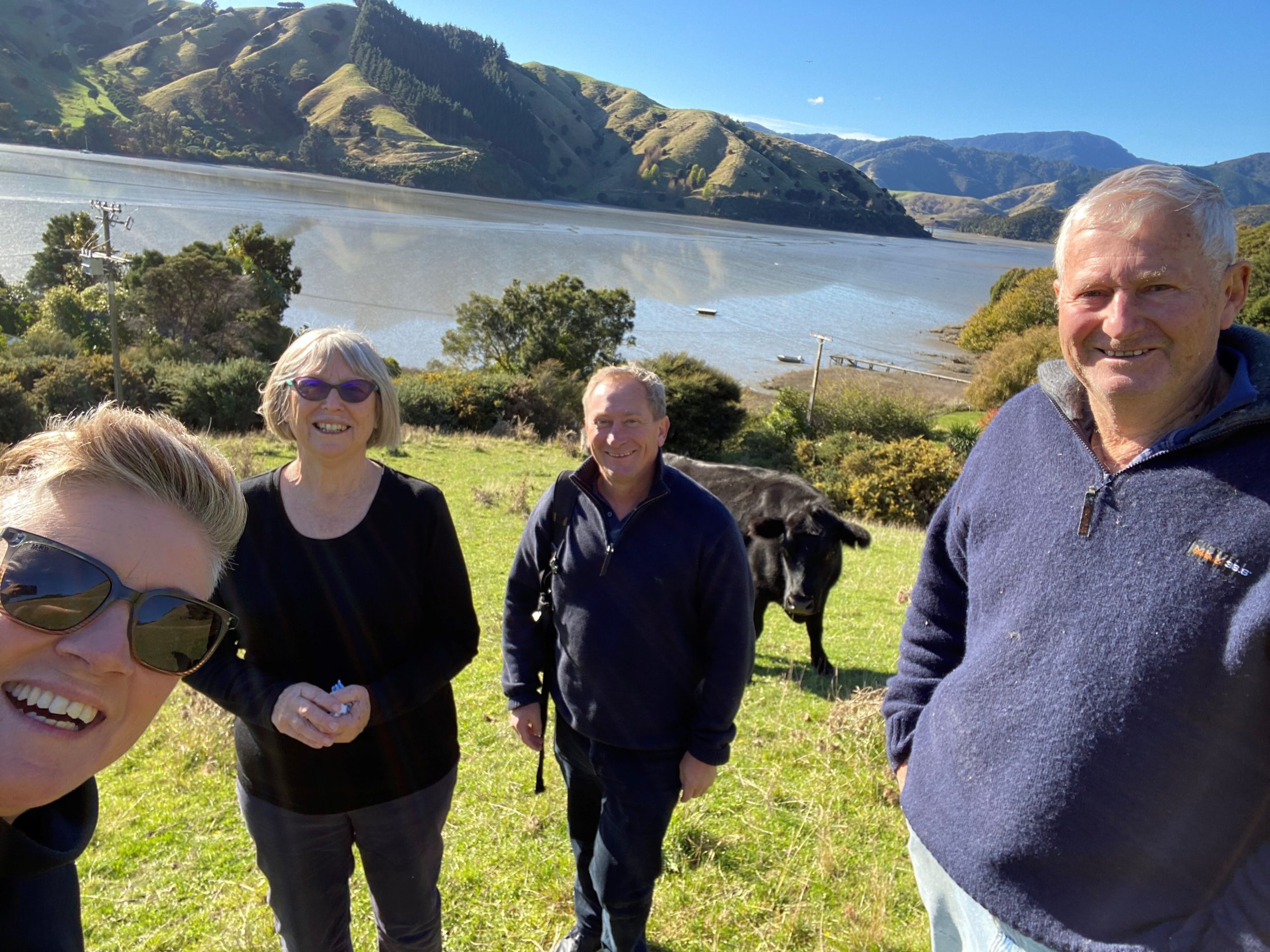 unnamed (1) RCG - Historic Cable Bay Connected