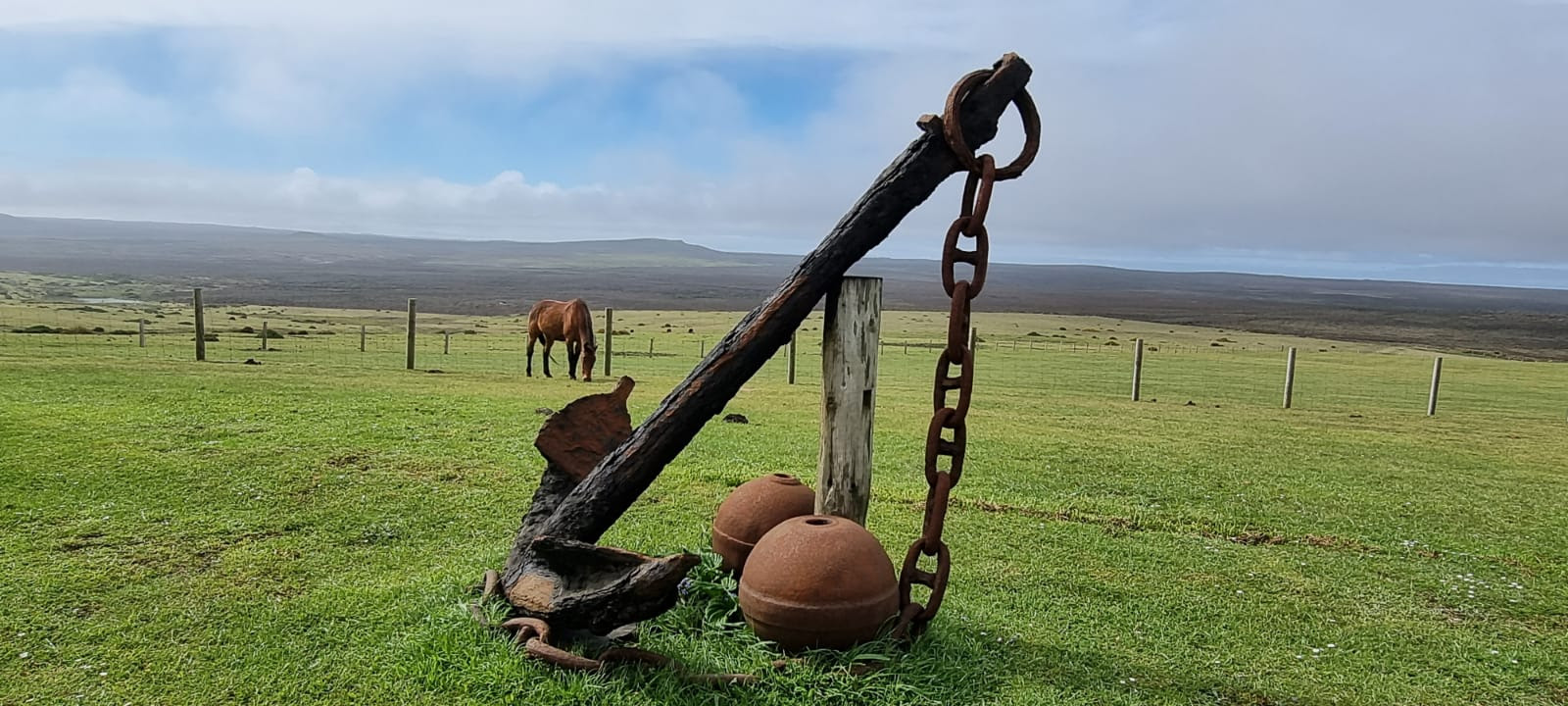 RCG - Chatham Islands