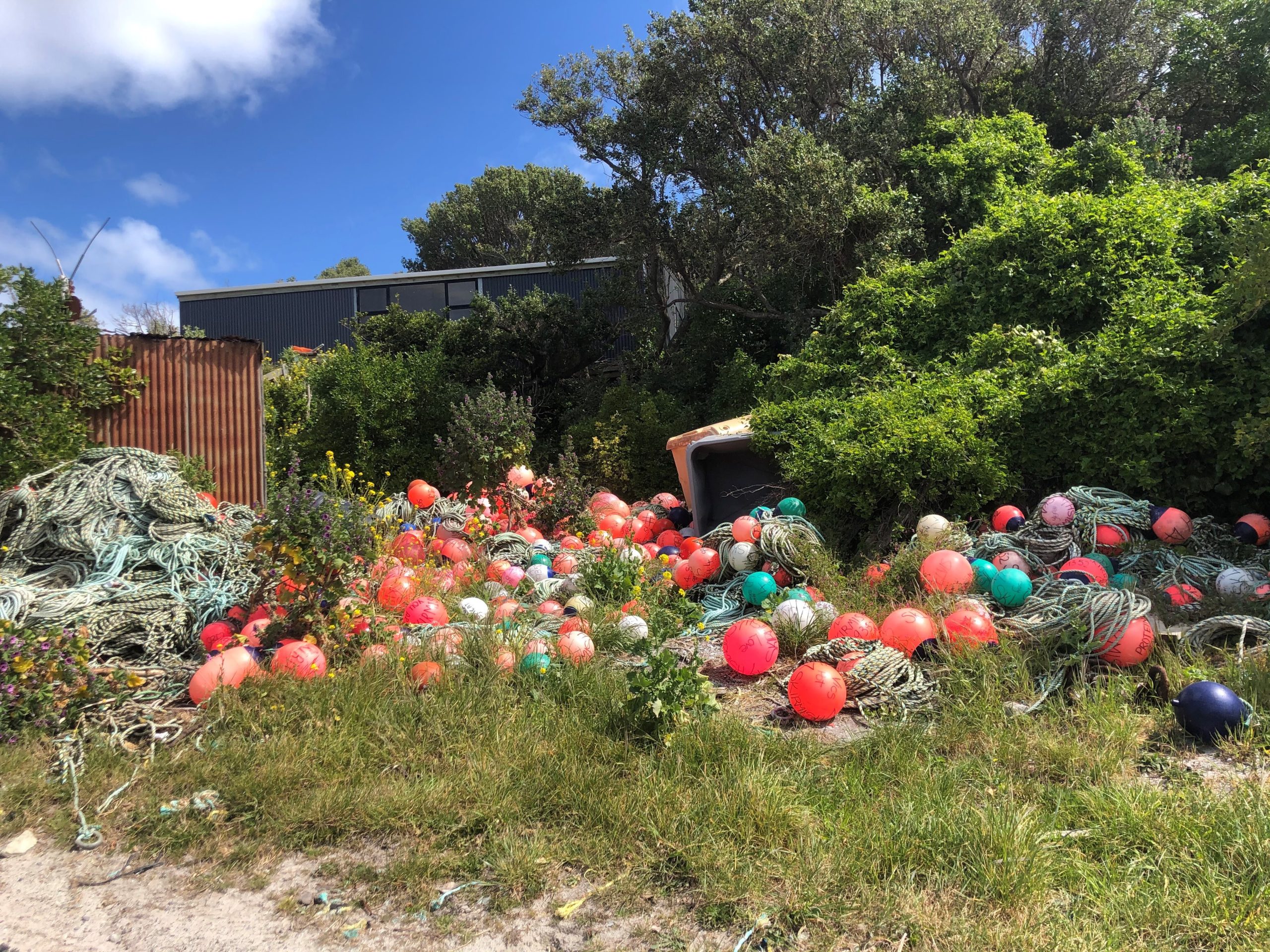 RCG - Chatham Islands