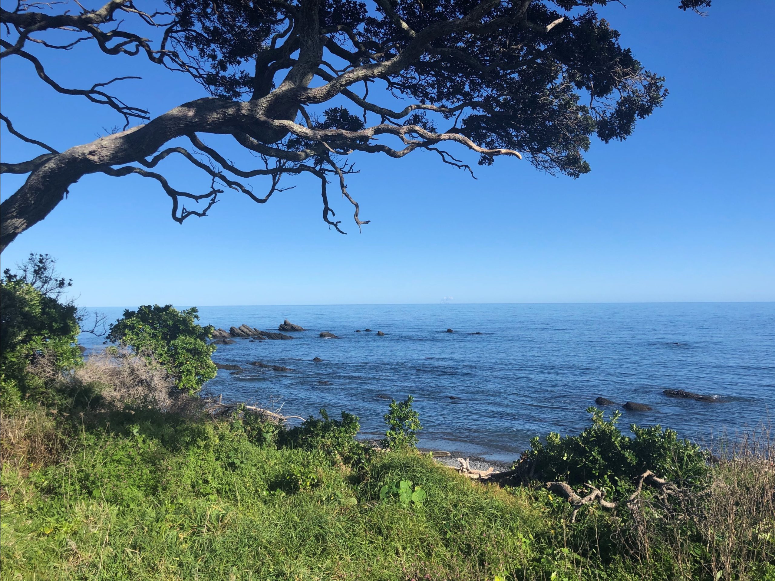 unnamed (18) RCG - Scenes From the East Coast